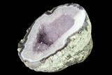 Las Choyas Coconut Geode Half with Amethyst & Agate - Mexico #145874-2